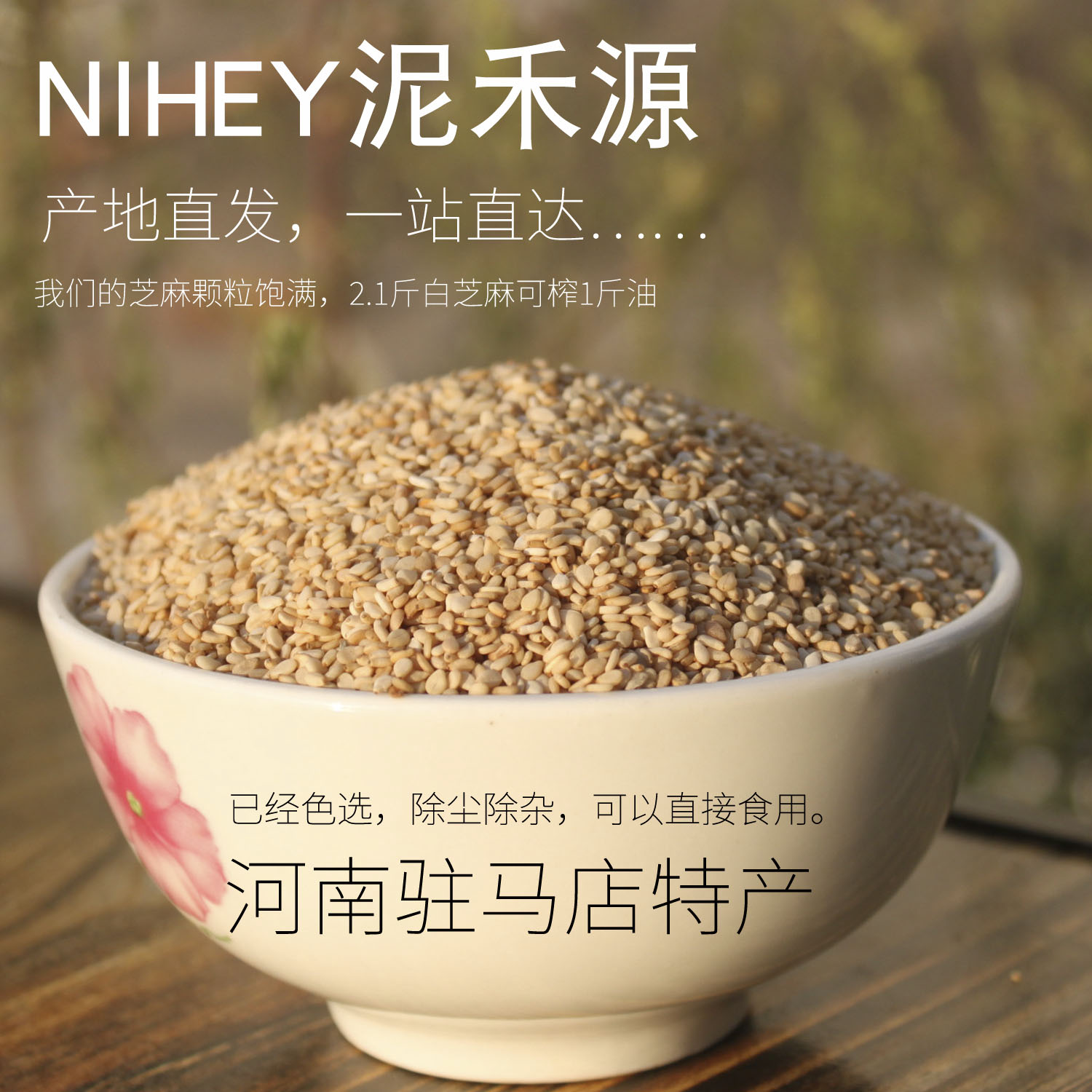 新货白芝麻生河南特产农家自种