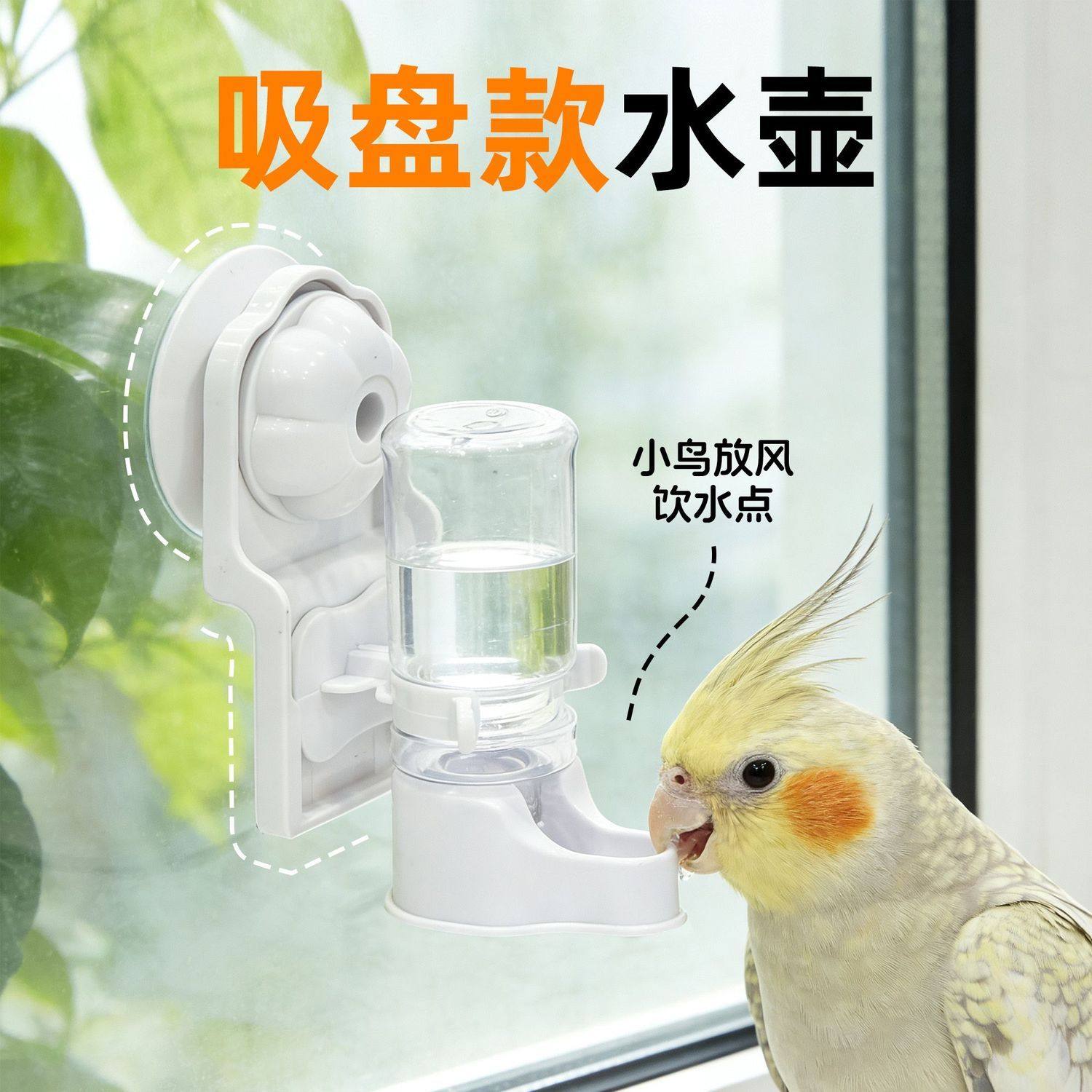 鹦鹉吸盘水壶放风散养食盆鸟类防溅撒保温箱吸盘食槽水碗免打孔,宠物/宠物食品及用品,鸟禽喂食器/喂水器,淘宝优惠券,粉丝福利购,淘宝优惠卷