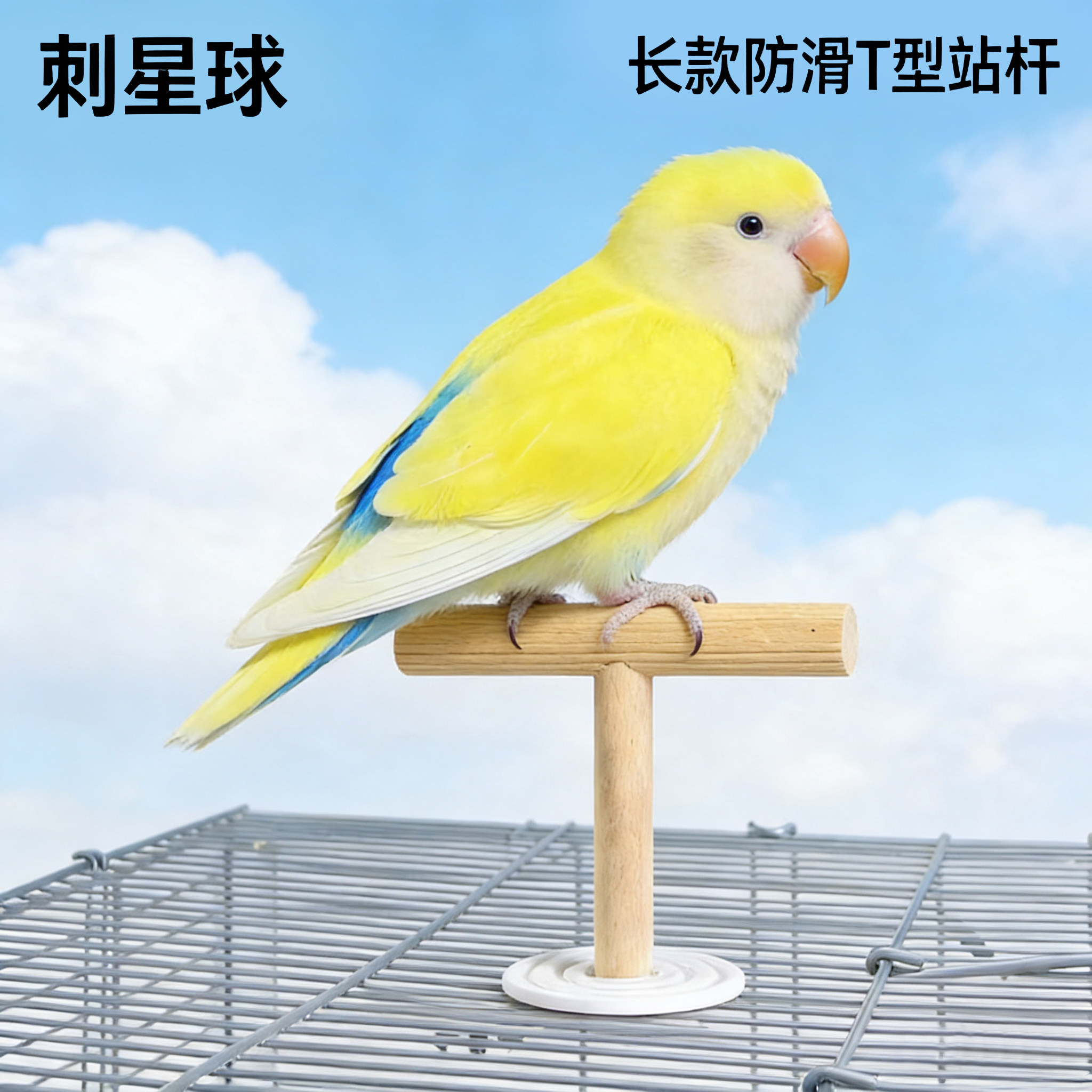 刺星球鹦鹉大垫片天然木站杆站棒鸟类用品站架玄凤虎皮牡丹图片