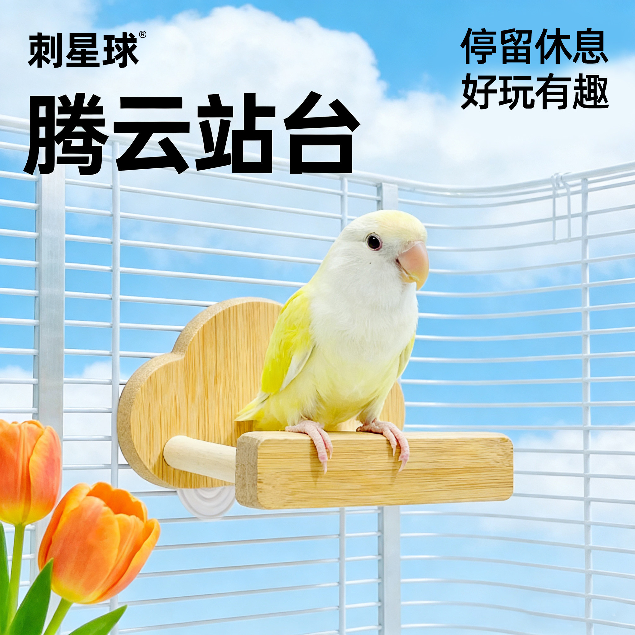 刺星球趣味滚筒腾云站杆鹦鹉天然木牡丹玄凤虎皮站架休息平台玩具