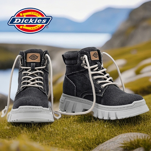 2025新款 户外工装 男鞋 英伦男靴短靴男士 靴 冬季 Dickies马丁靴男款