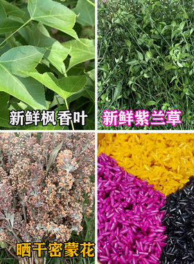 纯植物染料五色糯米饭染料