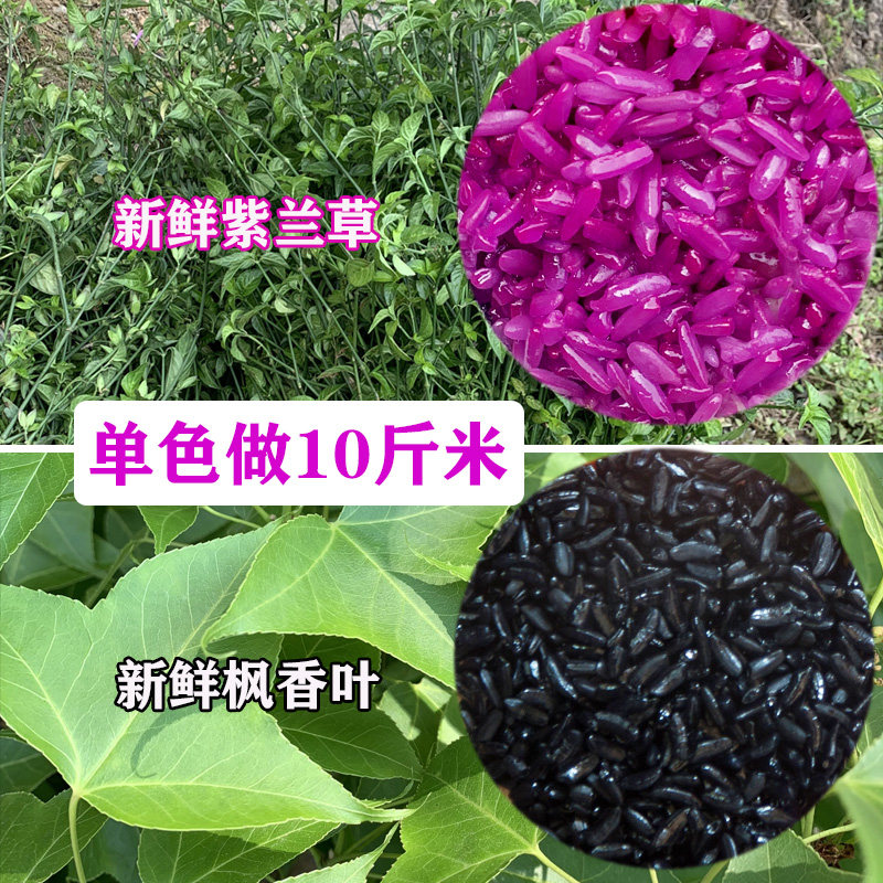 广西五色糯米饭植物染料