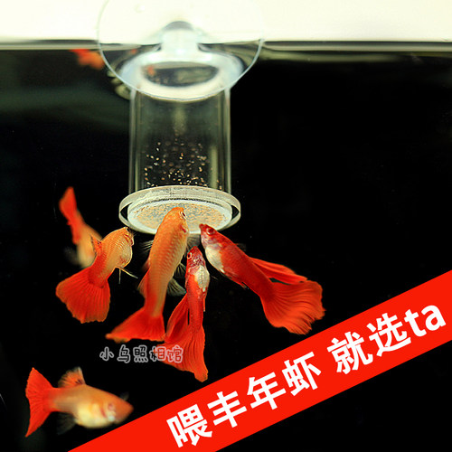 丰年虾喂食器孔雀鱼喂食圈亚克力