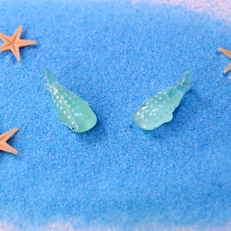 鲨鱼半透明造景可爱风多肉小摆件