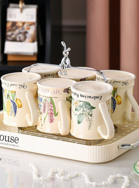 陶瓷杯子水杯家用客厅喝水套装马克杯高颜值女生待客好看咖啡茶杯