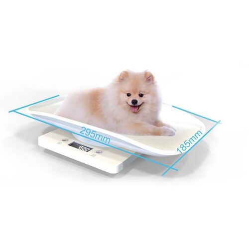 SmallPetcDigorbCsEnK