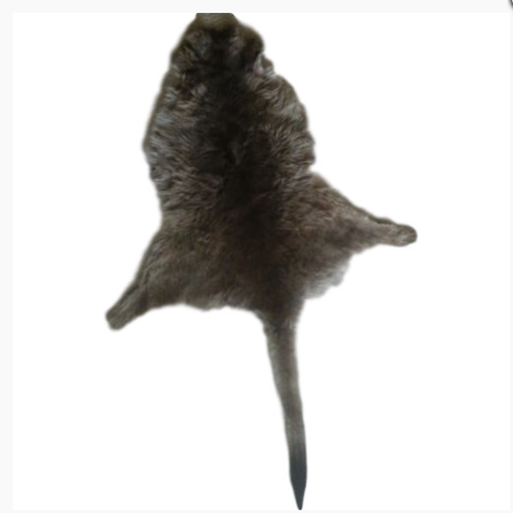 澳洲代购直邮土澳制造真袋鼠皮草地毯 Kangaroo Skin Rug 80cm