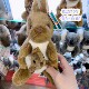 澳洲代购 直邮Australian Made土澳制造考拉袋鼠毛绒玩具纪念品