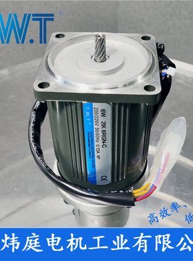 TWT电机 6W调速电机2IK6RGN-C 2RK6RGN-C  台湾东炜庭电机