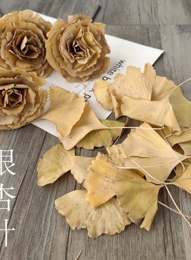 银杏叶片干花天然真树叶