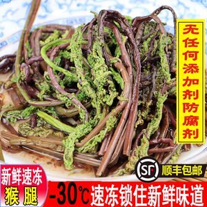 顺丰包邮东北山猴腿菜山野菜速冻