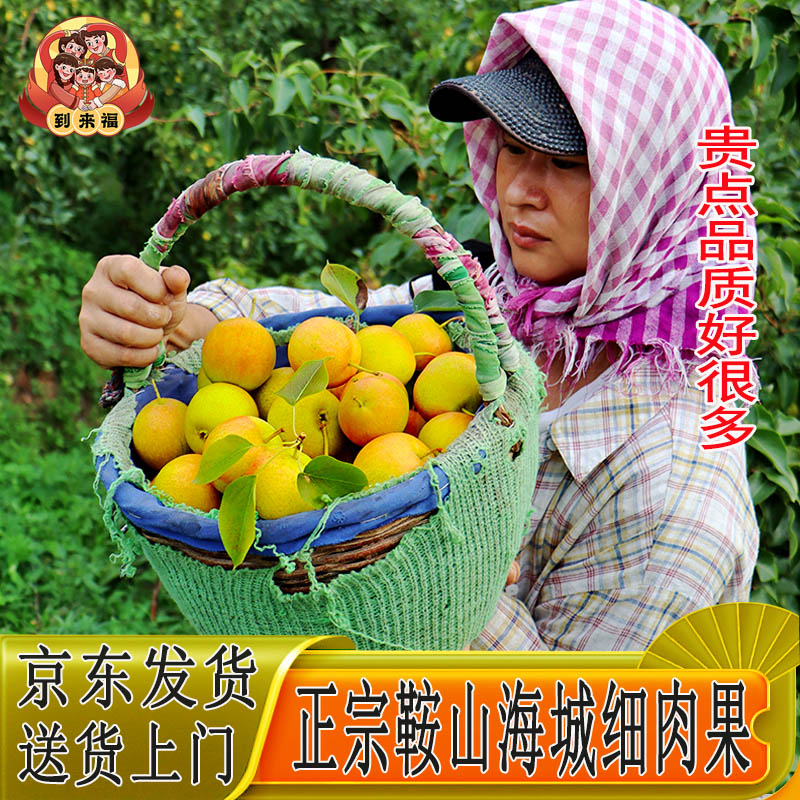 正宗鞍山南果梨到来福细腻多汁