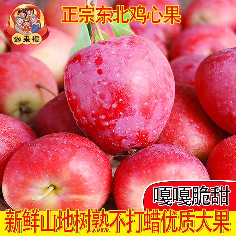 东北鸡心果山地小苹果锦绣海棠新苹果