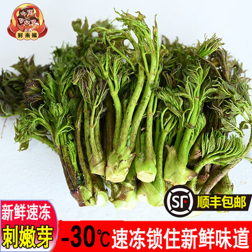 速冻刺嫩芽新鲜速冻山野菜