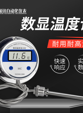 极讯数显温度计高精度智能显示