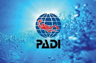 福建国内考证 进阶AOW PADI开放水域潜水员培训OW证书 福州
