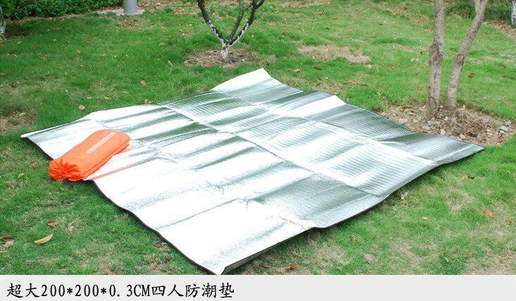 欣野防潮垫双人地席户外垫野餐垫