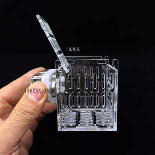 菇盒  皮革繁殖上石皮革 纽扣圣诞树珊瑚繁殖隔离 带翻盖小鱼隔离