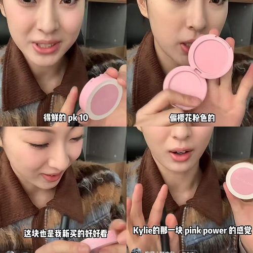 thesaem得鲜腮红pp05/pk10/pp01