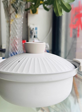 仓库搬迁压箱外贸好货20cm出口日本汤煲炖锅桌上锅一个字闭眼入