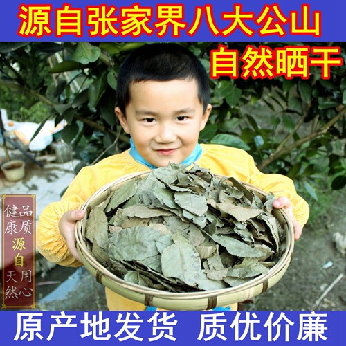 原叶茶青钱柳养生茶原叶茶