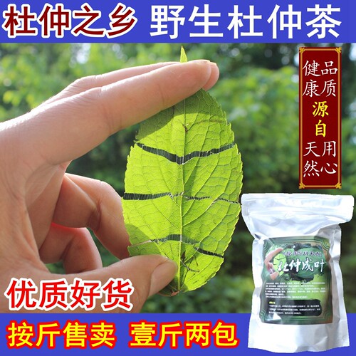 杜仲茶湖南张家界特产成安神