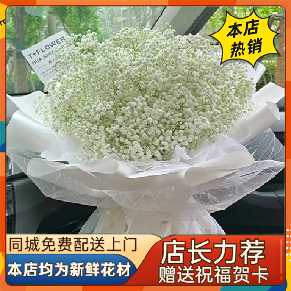 昆明同城送花昆明鲜花速递-昆明鲜花-白色满天星花束-2