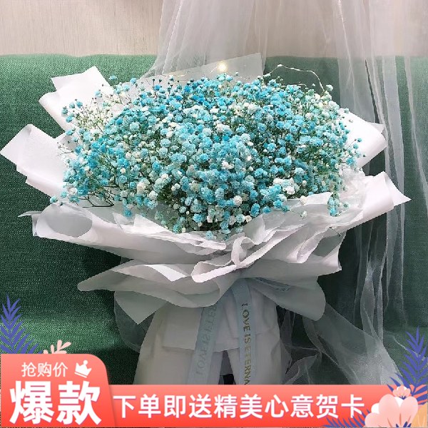 蓝色满天星生日礼物昆明鲜花