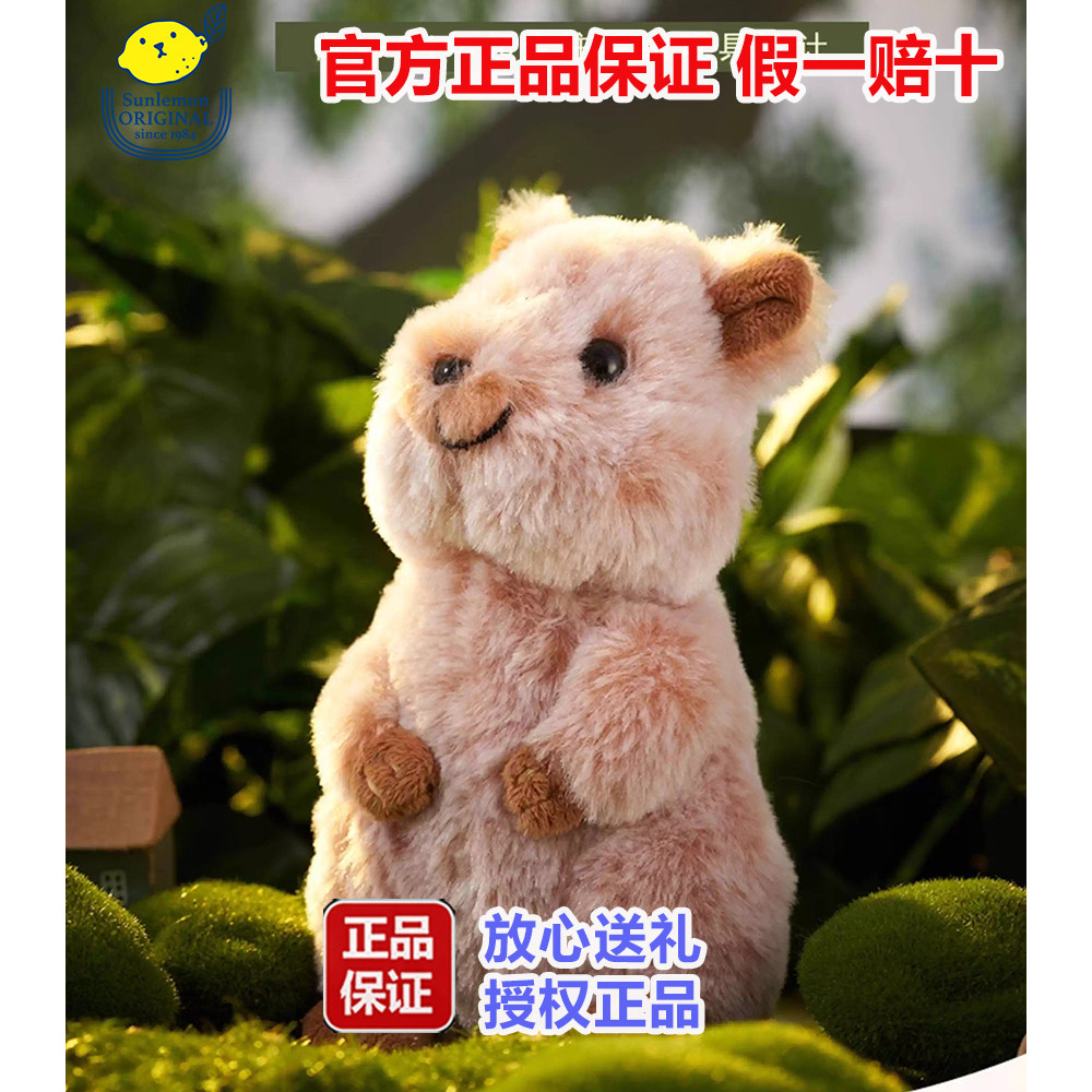 日本sunlemon毛绒玩偶短尾矮袋鼠毛绒玩具公仔鼠鼠娃娃生日礼物图片