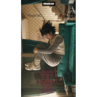 Faye 四叶草瓢虫 绞花毛衣针织背心 knits Boo market