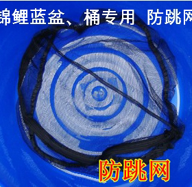 包邮 锦鲤专用 蓝盆蓝桶网罩 70cm 80cm 90cm 113cm圆盆防跳网罩