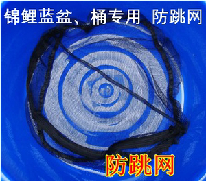 包邮 锦鲤专用 蓝盆蓝桶网罩 70cm 80cm 90cm 113cm圆盆防跳网罩
