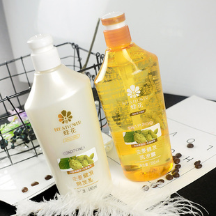 蜂花无硅油洗发水护发素啤酒花生姜清爽控油去屑健发家庭洗护套装