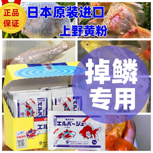 上野黄粉日本进口锦鲤龙鱼斗鱼金鱼鱼药万能疾病治疗掉鳞专用