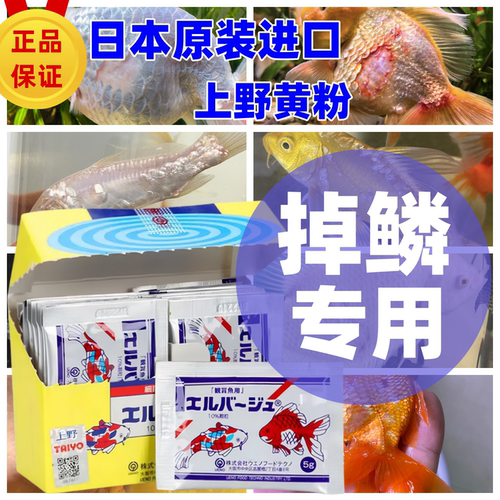 上野黄粉日本进口锦鲤龙鱼斗鱼金鱼鱼药万能疾病治疗掉鳞专用