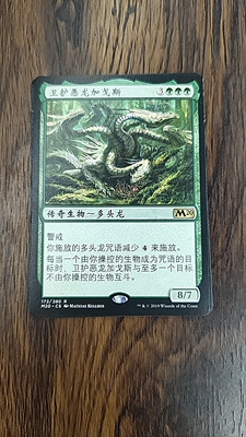【莎莎的小窝】万智牌 M20 中 卫护恶龙加戈斯 平