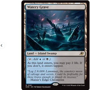 【莎莎的小窝】万智牌 EOE 空虚边域 积水墓地 英文平