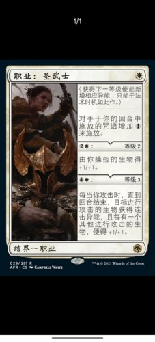 【莎莎的小窝】万智牌 afr 28 职业圣武士 简中 平-y