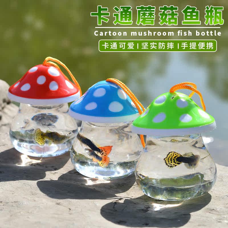 迷你小号手提鱼缸乌龟缸 透气式qq鱼瓶龟瓶 塑料鱼缸乌龟缸封闭式