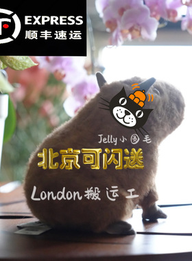 国内现货英国代购Jellycat卡皮巴拉水豚塔利龟capybara 豚门永存