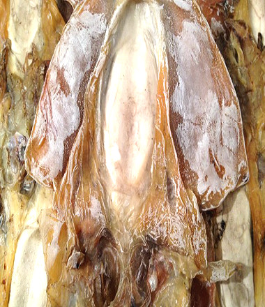 浙江全淡大墨鱼干49.9元250g包邮/淡晒/纯淡目鱼鱿鱼海鲜特产干货