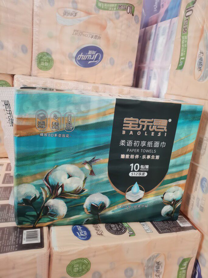 宝乐思油画10包512淳柔奢享高级柔软加厚抽取式纸巾面巾抽纸包邮