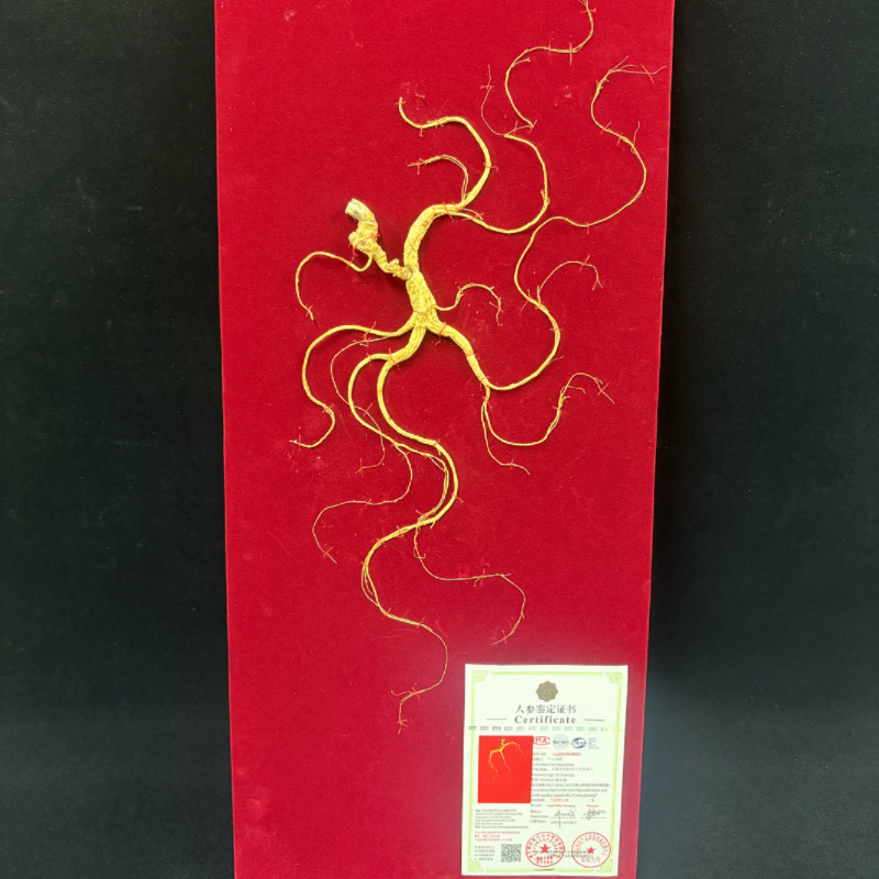 人参长白山国检野山参林下参籽参野生干人参礼盒泡酒延吉国检二等