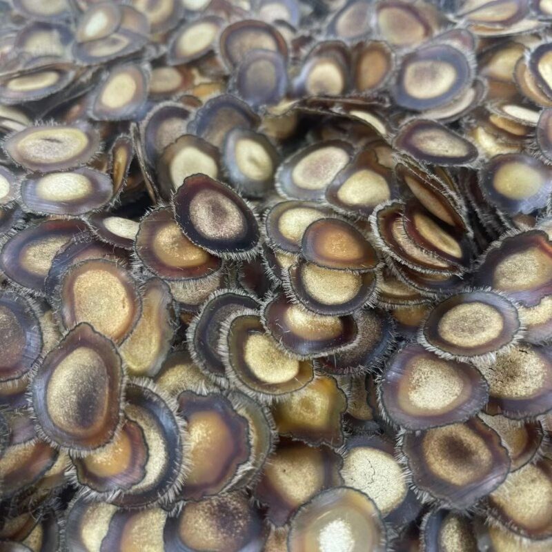 鹿茸片半腊片整根半蜡片泡酒药材中药材人参鹿鞭干