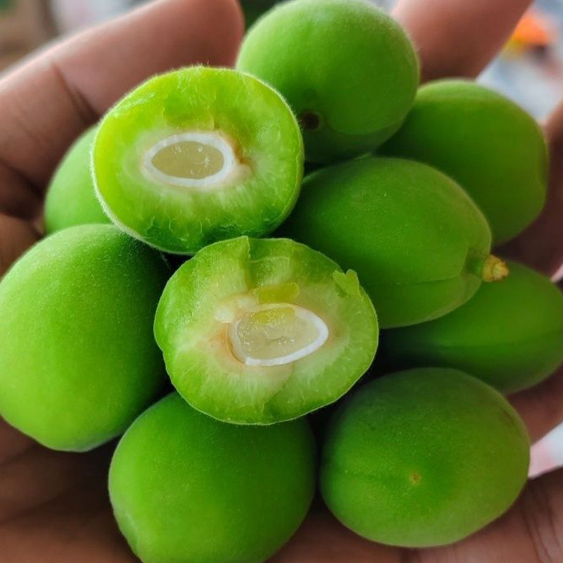 2026现摘小青杏新鲜农家脆白杏酸毛杏 酸水果孕妇水果小杏子