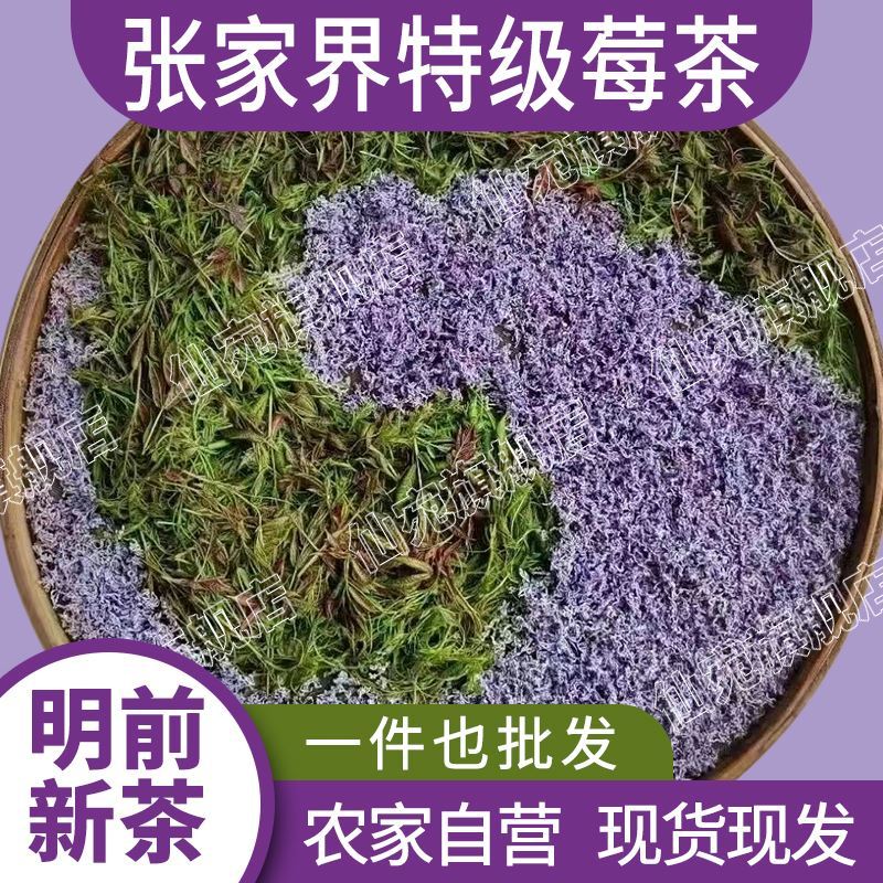 張家界紫茶莓茶野生特級正品芽尖霉茶正宗龍須藤茶湖南永順莓茶