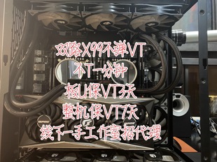 海光同款X99双路板U包过vt不掉效果不T1分钟落地直接用不用大退