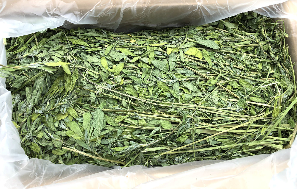 23年二茬紫花苜蓿草全烘干兔龙猫豚鼠箱装毛重1公斤包邮11月新到