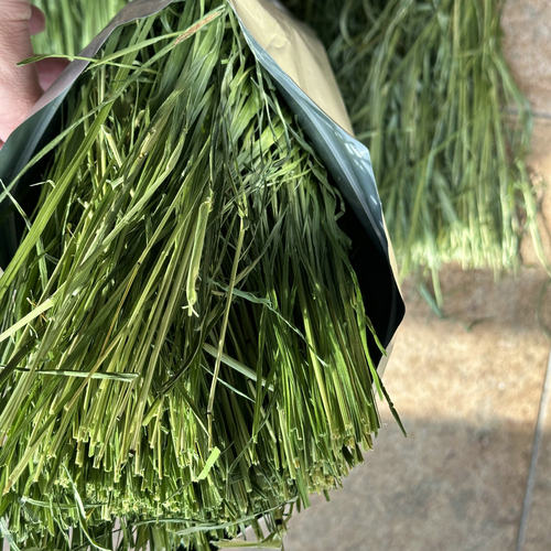 25年烘干晒干精品提摩西草兔子龙猫豚鼠甘肃北提磨牙500克袋装